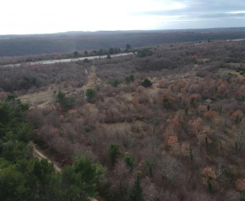 Land in Mrgani, Kanfanar over 2 ha, close to Limska Draga - pic 3