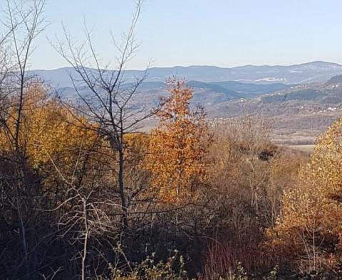 Land with panoramic views in Vižinada, 5.261m2 