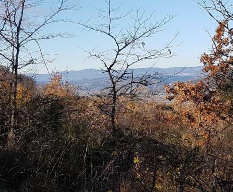 Grundstück mit Panoramablick in Vižinada, 5.261m2 - foto 20
