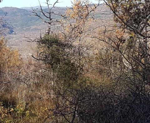Земельный участок с панорамным видом в Вижинаде, 5.261м2 - фото 27