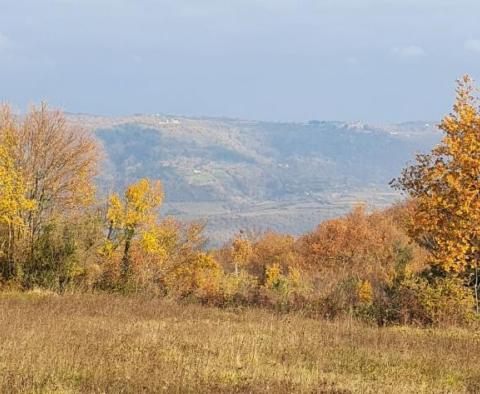 Pozemek s panoramatickým výhledem ve Vižinadě, 5.261 m2 - pic 32