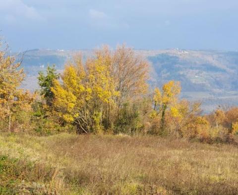 Land with panoramic views in Vižinada, 5.261m2 - pic 33