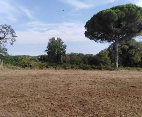 Sehr ruhiges Bauland in Kaštelir - foto 3