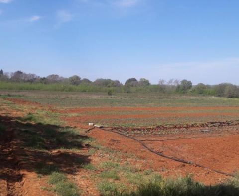 Terrain pour construction résidentielle à Štinjan, Pula à seulement 500 mètres de la plage - pic 11