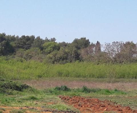 Land plot for residential construction in Štinjan, Pula just 500 meters from the beach - pic 16