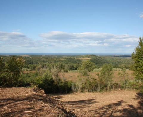 Wunderschönes Grundstück zum Verkauf in Buje mit entferntem Meerblick - foto 4