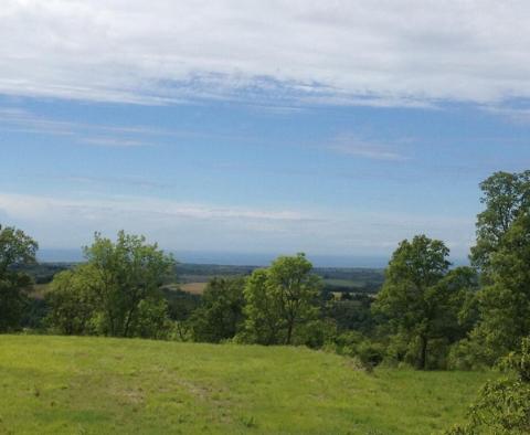 Wunderschönes Grundstück zum Verkauf in Buje mit entferntem Meerblick - foto 19