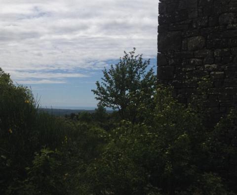 Wunderschönes Grundstück zum Verkauf in Buje mit entferntem Meerblick - foto 22