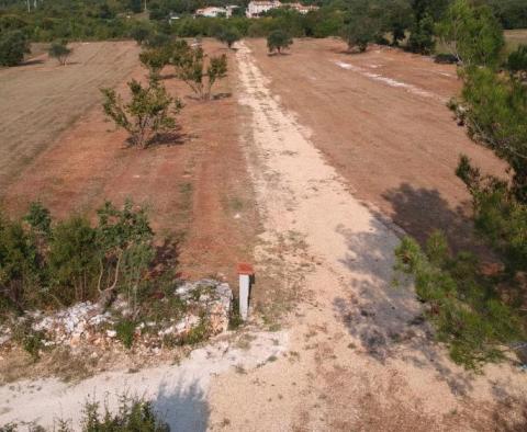 Unique land in Putini, Kanfanar - combination of agro- and urban land, 14161 sq.m. - pic 2