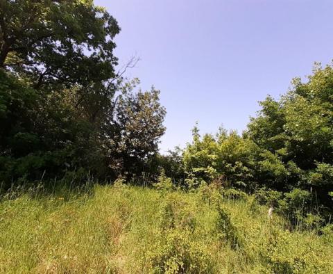 Адрионика предлагает отличный земельный участок в Перушках, Марчана - 0,5 га - фото 5