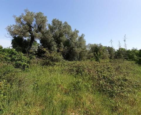 Адрионика предлагает отличный земельный участок в Перушках, Марчана - 0,5 га - фото 6