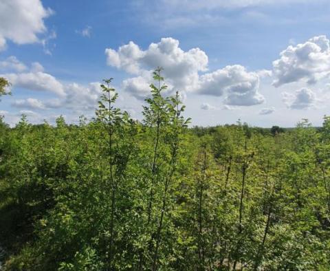 ADRIONIKA bietet Land in der Region Labin, nur 1,5 km vom Meer entfernt - foto 9