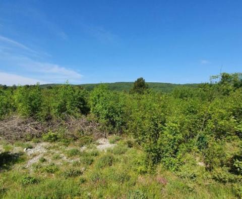 ADRIONIKA propose un terrain dans la région de Labin à seulement 1,5 km de la mer - pic 12