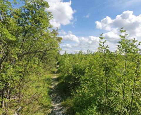 ADRIONIKA bietet Land in der Region Labin, nur 1,5 km vom Meer entfernt - foto 22