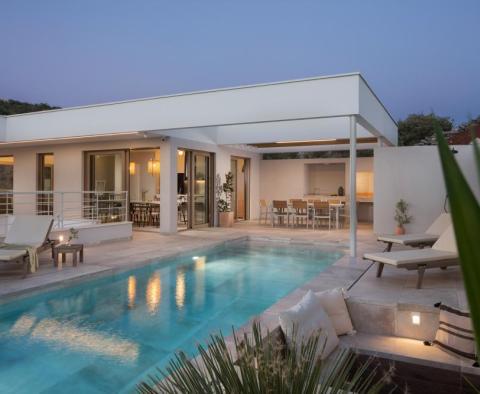 Luxury glamorous villa with pool worth Brad Pitt stay - pic 24