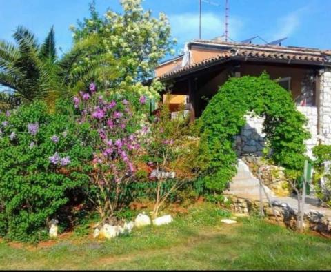 Deux villas sur un grand terrain de 7261 m². dans un endroit magnifique dans le paradis vert de l'Istrie - pic 14