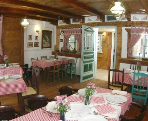 Impressive hotel for sale in Gorski Kotar with great potential - pic 2
