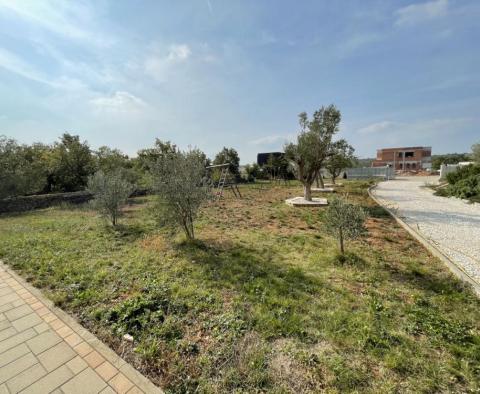 Beautiful estate with olive grove on 5800 sq.m. of land - pic 14