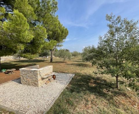Beautiful estate with olive grove on 5800 sq.m. of land - pic 15