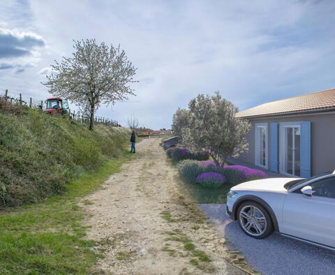 Belle villa avec piscine et vue sur les vignes et les oliveraies dans la région de Momjan - pic 5