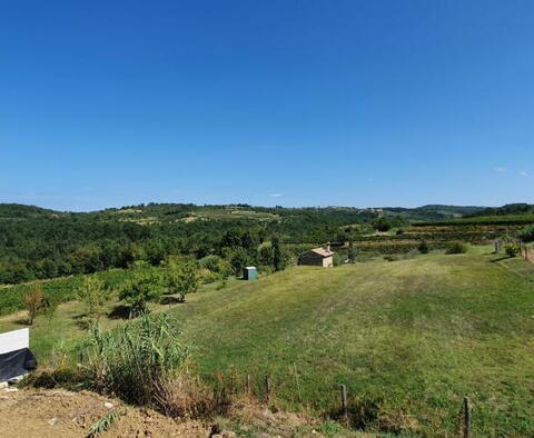 Beautiful villa with swimming pool and views of vineyards and olive groves in Momjan area - pic 6