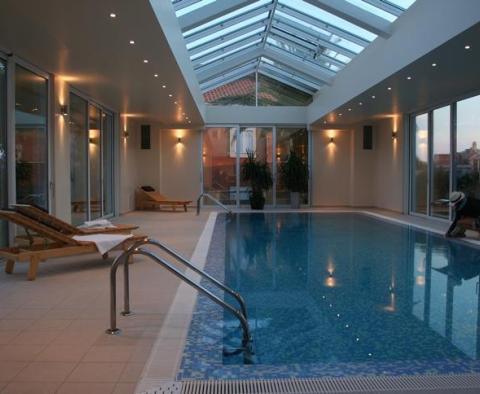 Second-to-none villa in Nemira with a huge indoor swimming pool and spa-complex - pic 4