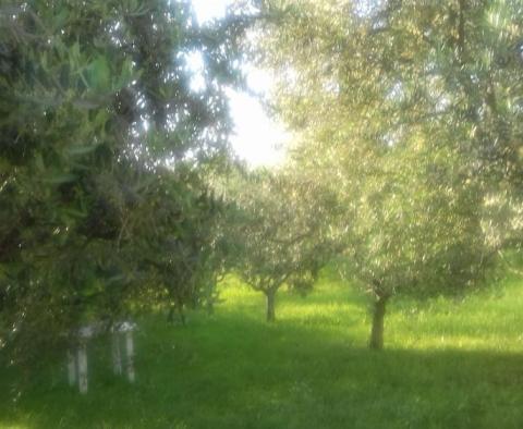 Dom apartamentowy z 5 apartamentami, widok panoramiczny! - pic 26