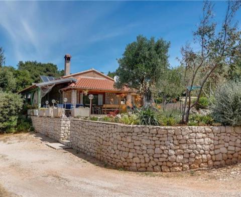 Beautiful property just 70 meters from the sea on Mali Losinj island on 3000 sq.m. of land - pic 5