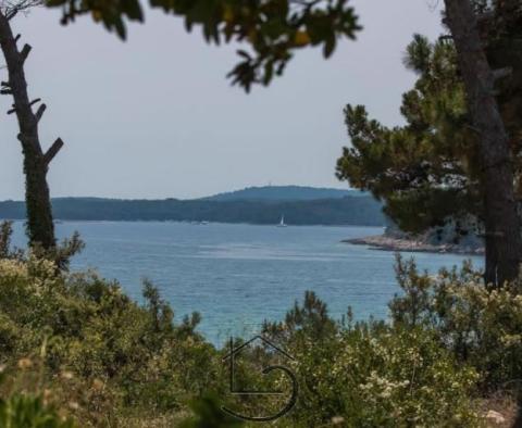 Beautiful property just 70 meters from the sea on Mali Losinj island on 3000 sq.m. of land - pic 4