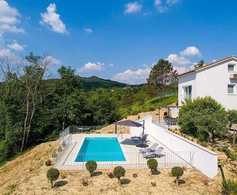 Schöne abgelegene moderne Villa mit Pool in Cerovlje, fertiggestellt im Jahr 2020 - foto 2