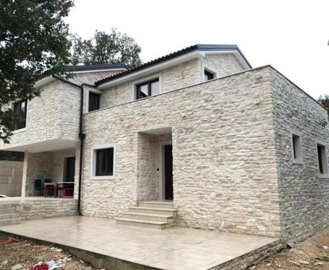 New stone villa with whirlpool in Donja Hlapa 