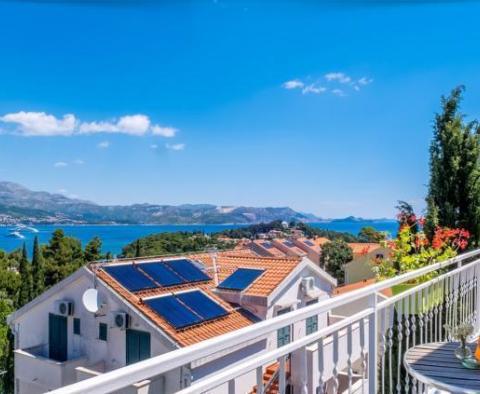 Superbe hôtel avec vue sur la mer et piscine sur la Riviera de Dubrovnik - pic 2
