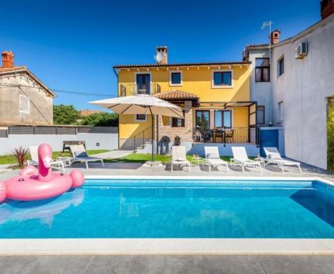 Beautiful villa with swimming pool in a quiet environment in Liznjan near Pula 