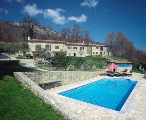 Complex of three renovated villas with swimming pool in Lupoglav area on 8000 sq.m. of land 