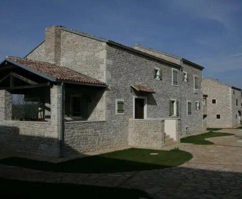 Villa forteresse en pierre solide avec piscine dans la région de Motovun - pic 19