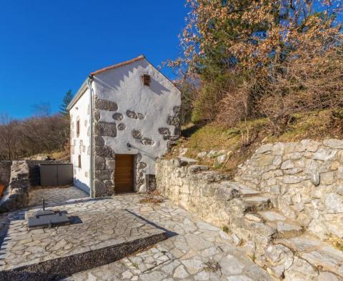 Dva tradiční kamenné domy s bazénem v Tribanj nad Crikvenicí - pic 2