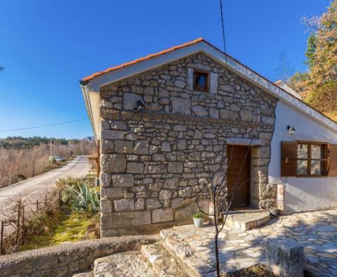 Zwei traditionelle Steinhäuser mit Swimmingpool in Tribanj über Crikvenica - foto 13