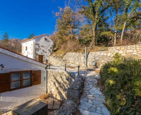 Zwei traditionelle Steinhäuser mit Swimmingpool in Tribanj über Crikvenica - foto 14