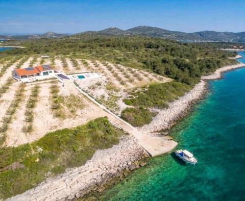 Une seule et unique villa insulaire isolée avec oliveraie de 47500 m². de terre, d'amarrage et d'intimité absolue - pic 3