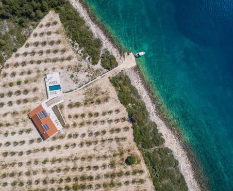 Jedna a jediná izolovaná ostrovní vila s olivovým hájem o rozloze 47500 m2. pozemku, kotviště a absolutní soukromí - pic 4