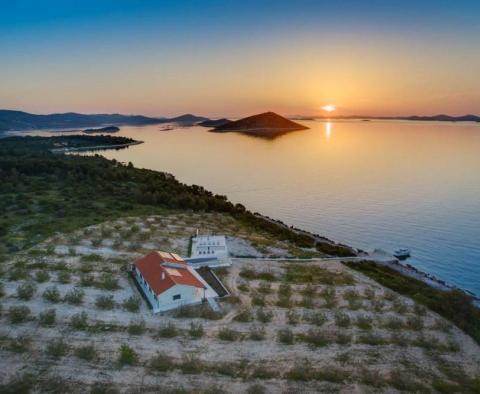 Une seule et unique villa insulaire isolée avec oliveraie de 47500 m². de terre, d'amarrage et d'intimité absolue - pic 33