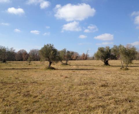 Exceptional offer of urbanized land just 200 meters from the sea in Umag-Novigrad area - pic 3