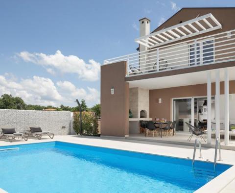 Luxury villa with swimming pool in Svetvinčenat 