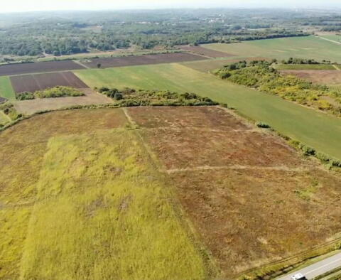 Spacious agricultural land for sale in Buje area, 83.917m2 