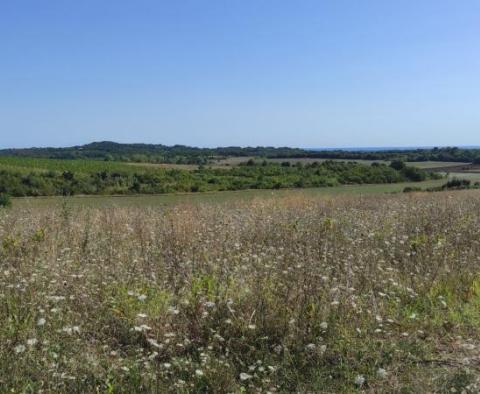 Spacious agricultural land for sale in Buje area, 83.917m2 - pic 13