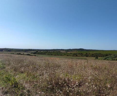 Spacious agricultural land for sale in Buje area, 83.917m2 - pic 16
