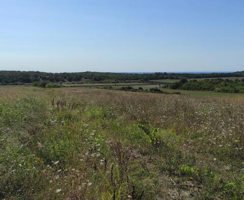 Spacious agricultural land for sale in Buje area, 83.917m2 - pic 20