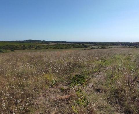 Geräumiges Grundstück zum Verkauf in der Gegend von Buje, landwirtschaftliche Zwecke, 39.178 m2 - foto 8