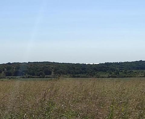 Geräumiges Grundstück zum Verkauf in der Gegend von Buje, landwirtschaftliche Zwecke, 39.178 m2 - foto 10