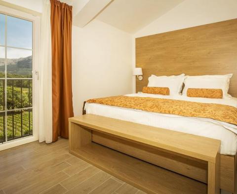 Butikový hotel se 7 apartmány a krásnou zahradou v Bašce na Krku, pouhých 500 metrů od moře - pic 23
